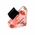 Prada Paradoxe